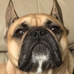 Meet your Posher, Spencer